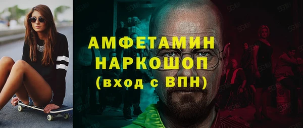 дмт Каменка