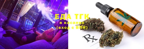 дмт Каменка