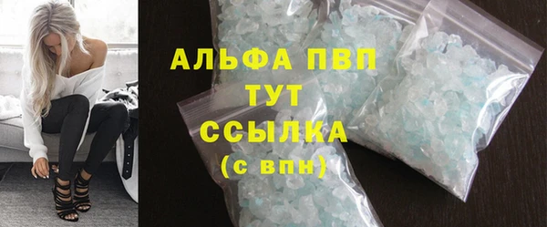 дмт Каменка