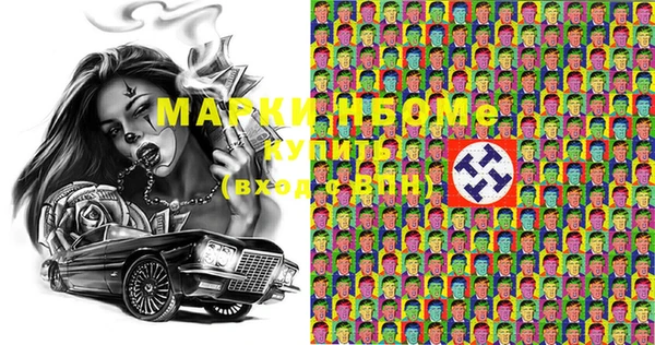дмт Каменка
