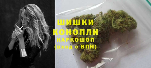 дмт Каменка