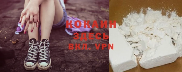 дмт Каменка