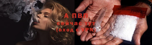 дмт Каменка