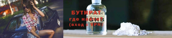 дмт Каменка