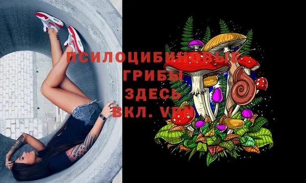 Альфа ПВП Каменск-Шахтинский