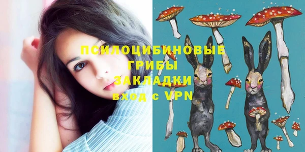 марки lsd Каменногорск