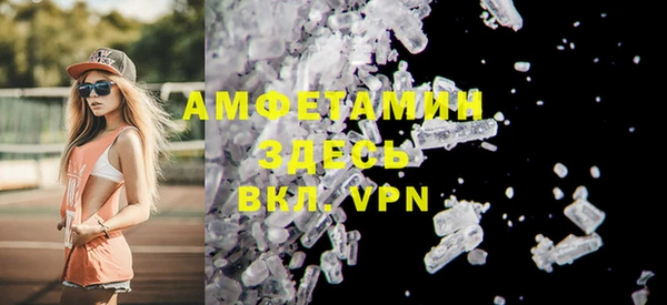 дмт Каменка
