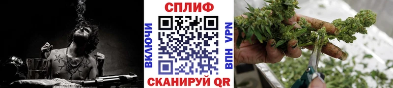 Купить закладки  Морозовск  Шишки марихуана сатива 